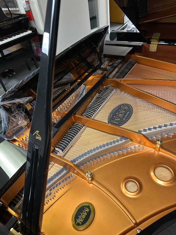 Additional image for Kawai GX3